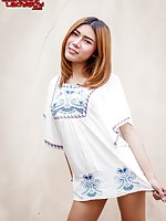blogs tranny