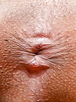 sexy shemale dick pic